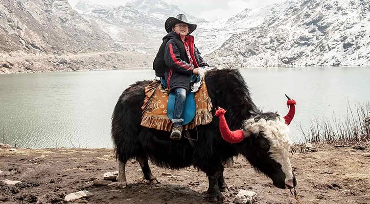 Enjoy Yak Rides at Beautiful Tsomgo Lake in Sikkim Enjoy traditional yak rides along the serene and picturesque shores of Tsomgo Lake in Sikkim.